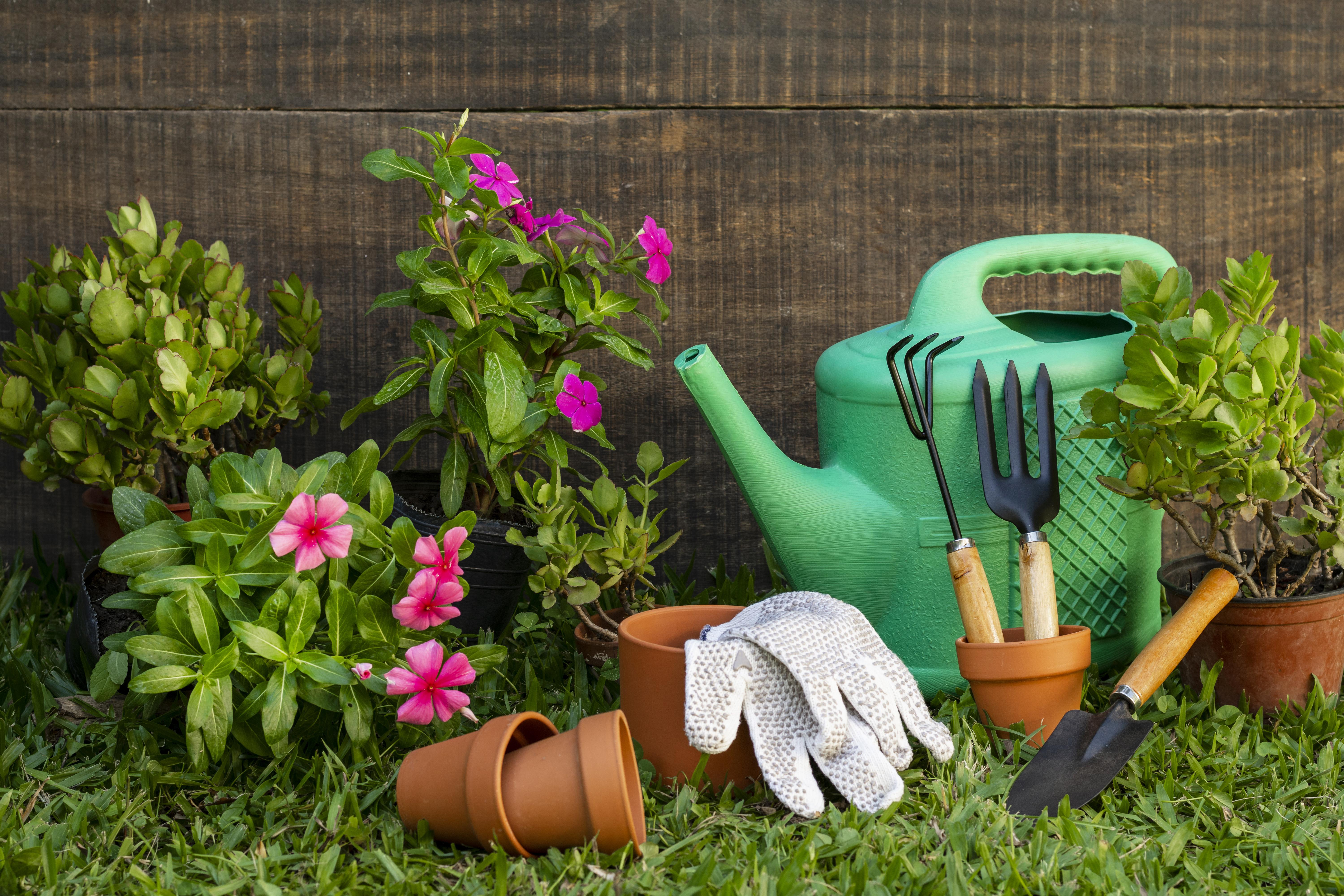 Ferramentas de jardinagem sobre a grama verde, incluindo um regador verde, luvas brancas, vasos de barro e plantas com flores rosas, em frente a uma parede de madeira escura