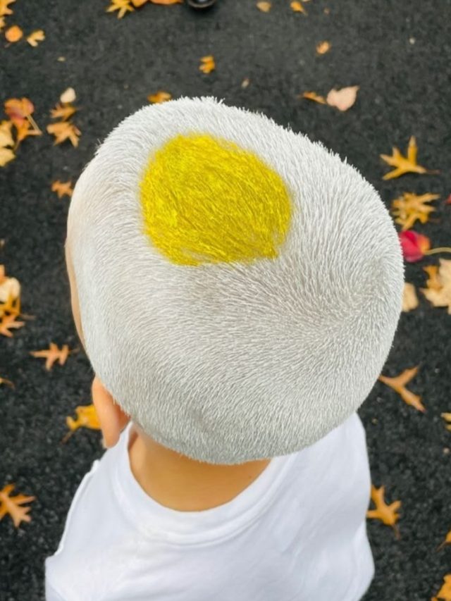 Capa de: 6 ideias para transformar o cabelo maluco básico